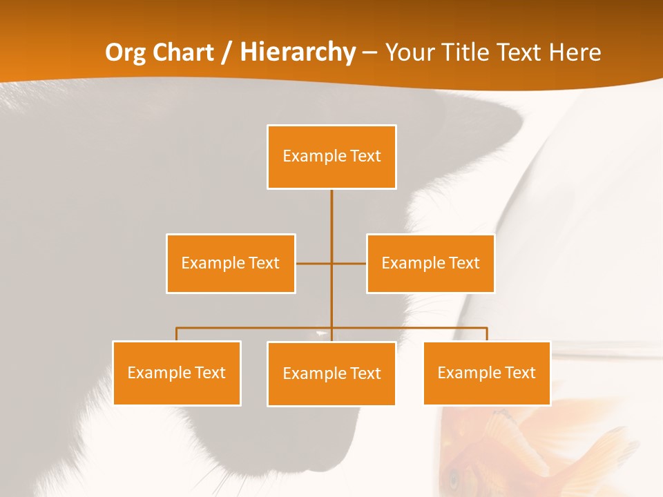 Fish Kitten PowerPoint Template