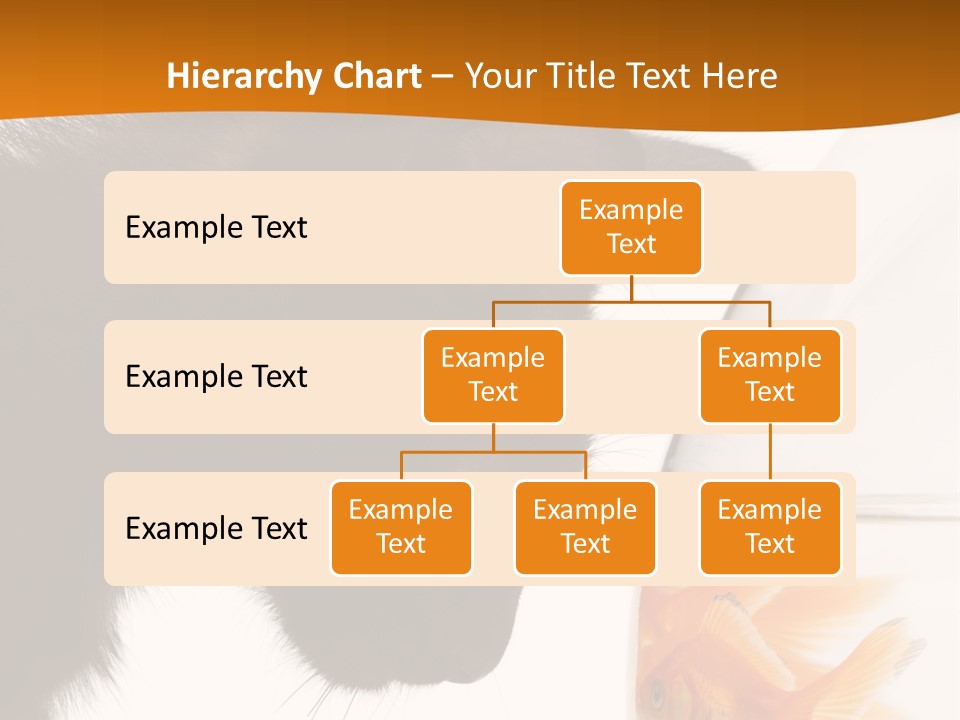 Fish Kitten PowerPoint Template