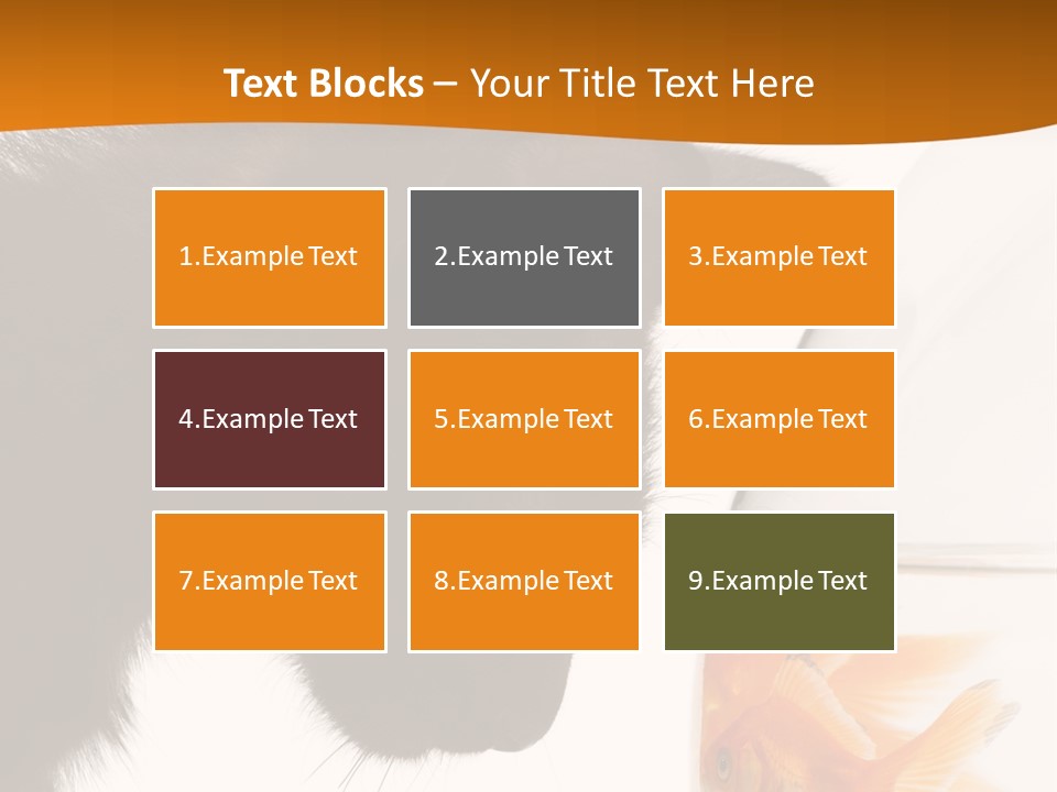 Fish Kitten PowerPoint Template