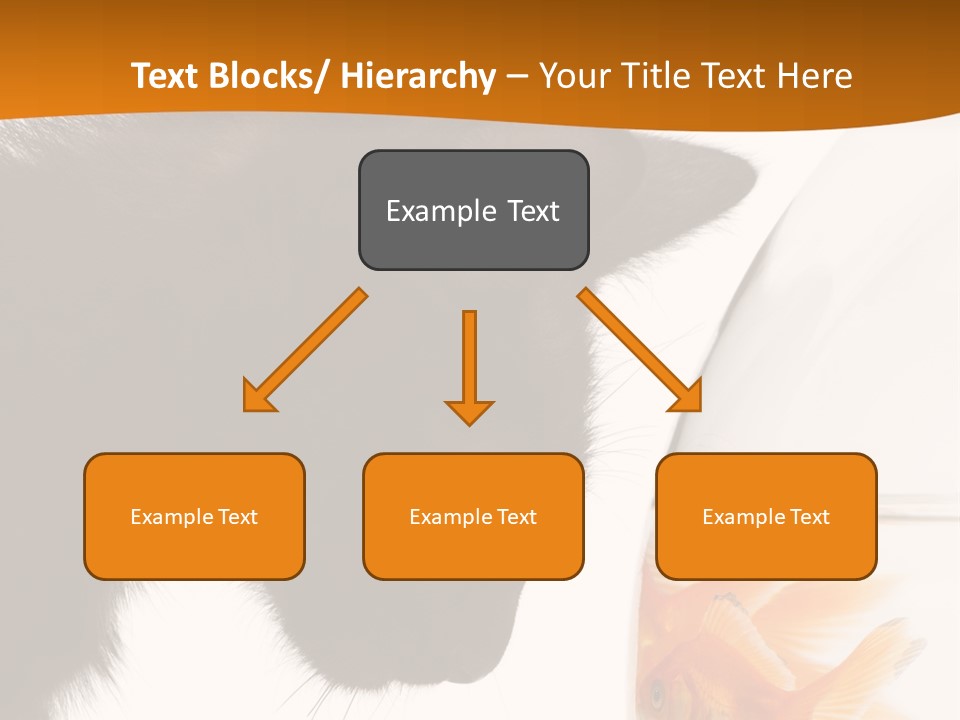 Fish Kitten PowerPoint Template