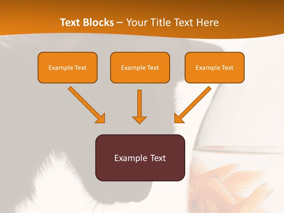 Fish Kitten PowerPoint Template