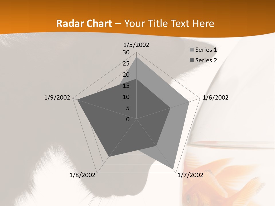 Fish Kitten PowerPoint Template