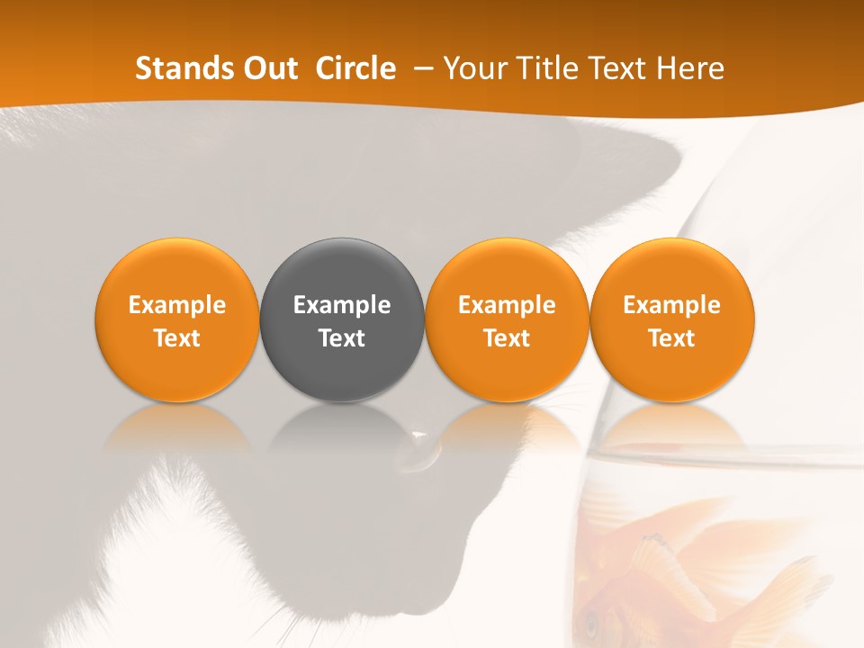 Fish Kitten PowerPoint Template