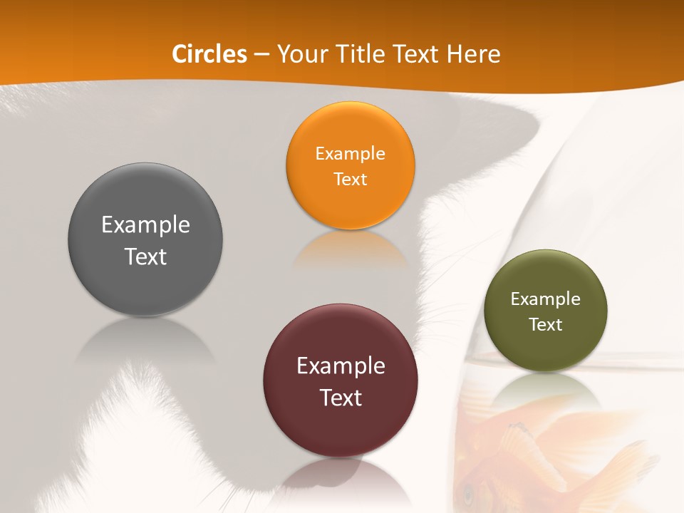 Fish Kitten PowerPoint Template