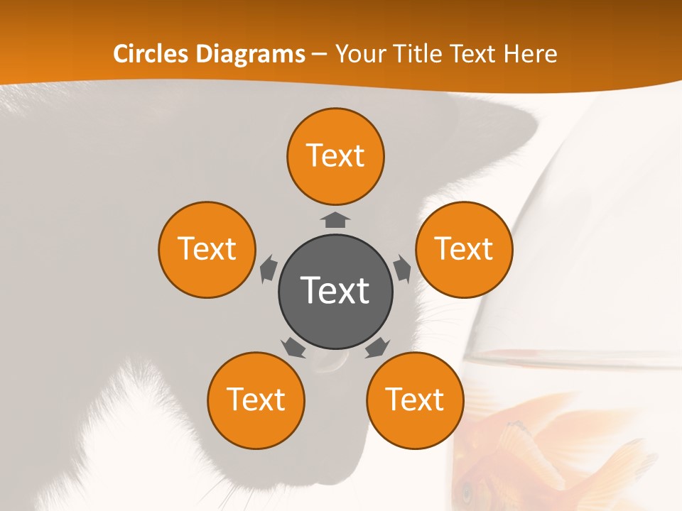 Fish Kitten PowerPoint Template