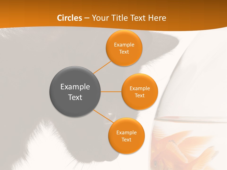 Fish Kitten PowerPoint Template