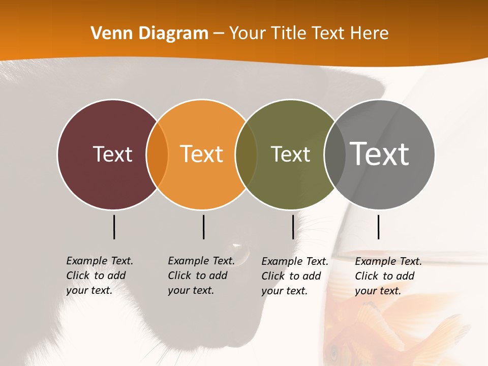 Fish Kitten PowerPoint Template