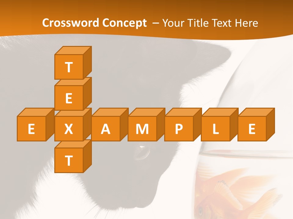 Fish Kitten PowerPoint Template