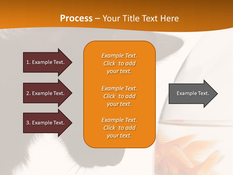Fish Kitten PowerPoint Template