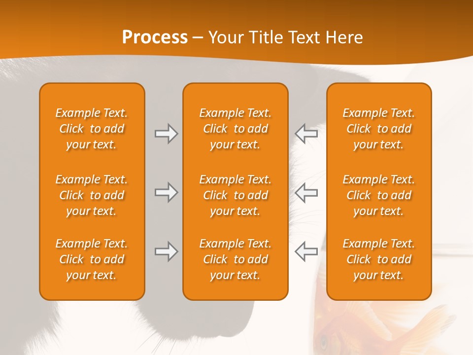 Fish Kitten PowerPoint Template