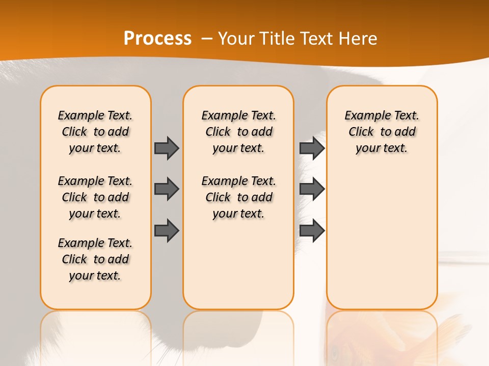 Fish Kitten PowerPoint Template