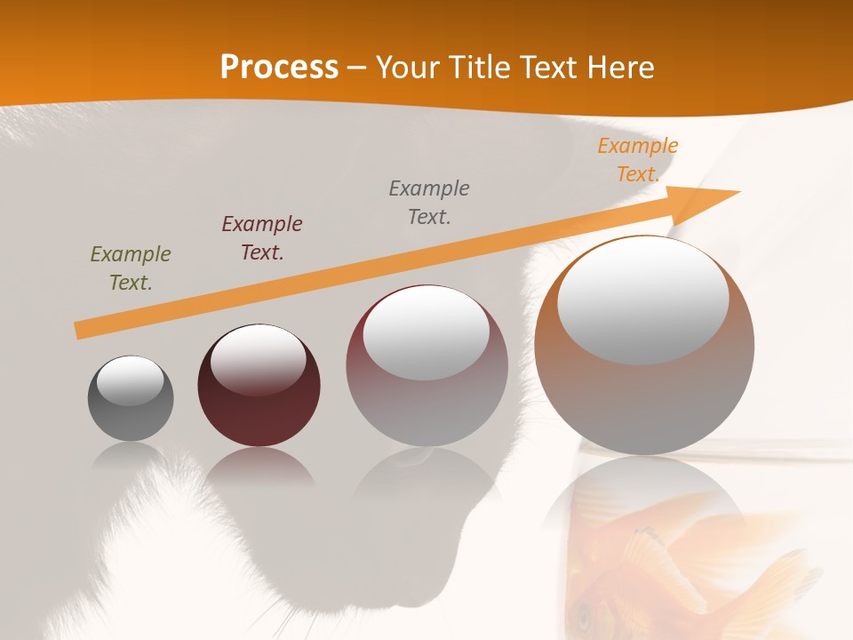 Fish Kitten PowerPoint Template