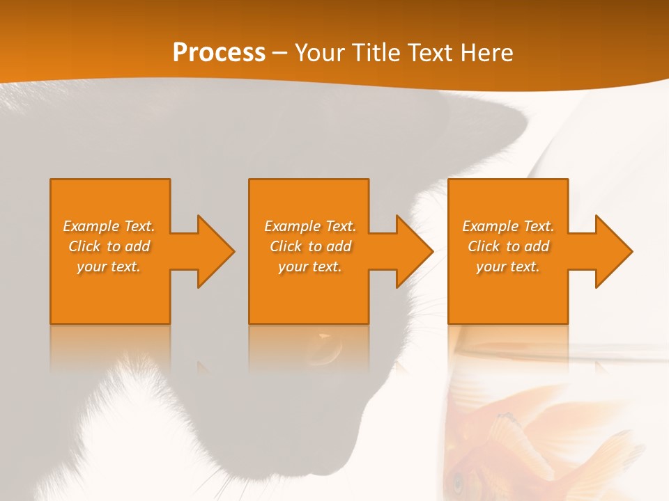 Fish Kitten PowerPoint Template