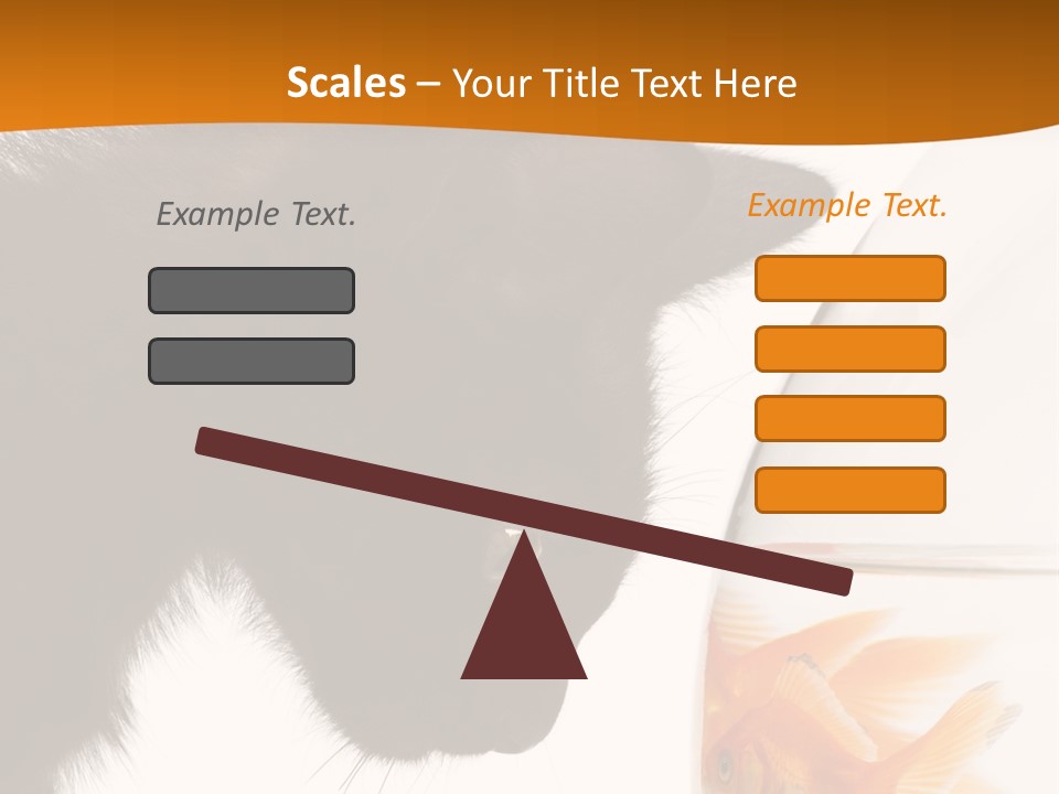 Fish Kitten PowerPoint Template