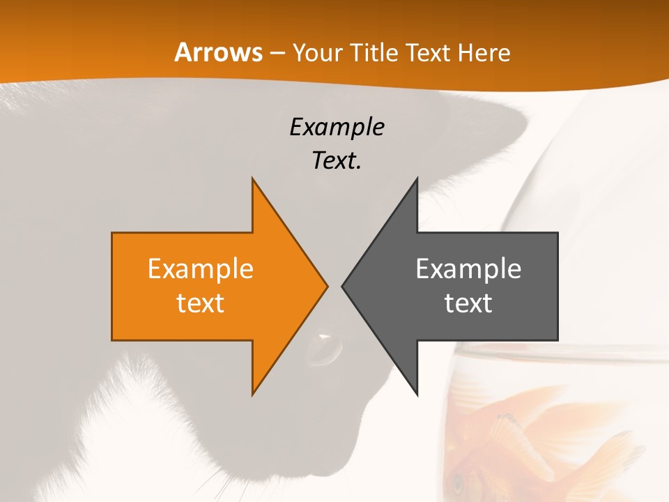 Fish Kitten PowerPoint Template