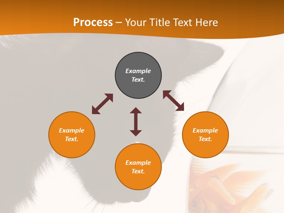 Fish Kitten PowerPoint Template