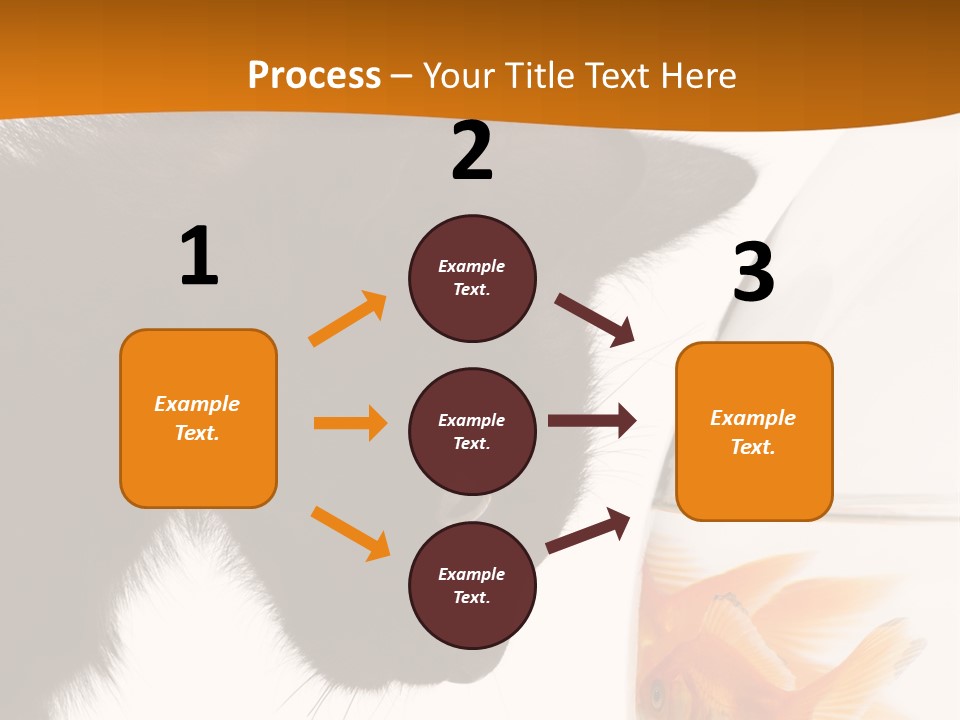 Fish Kitten PowerPoint Template