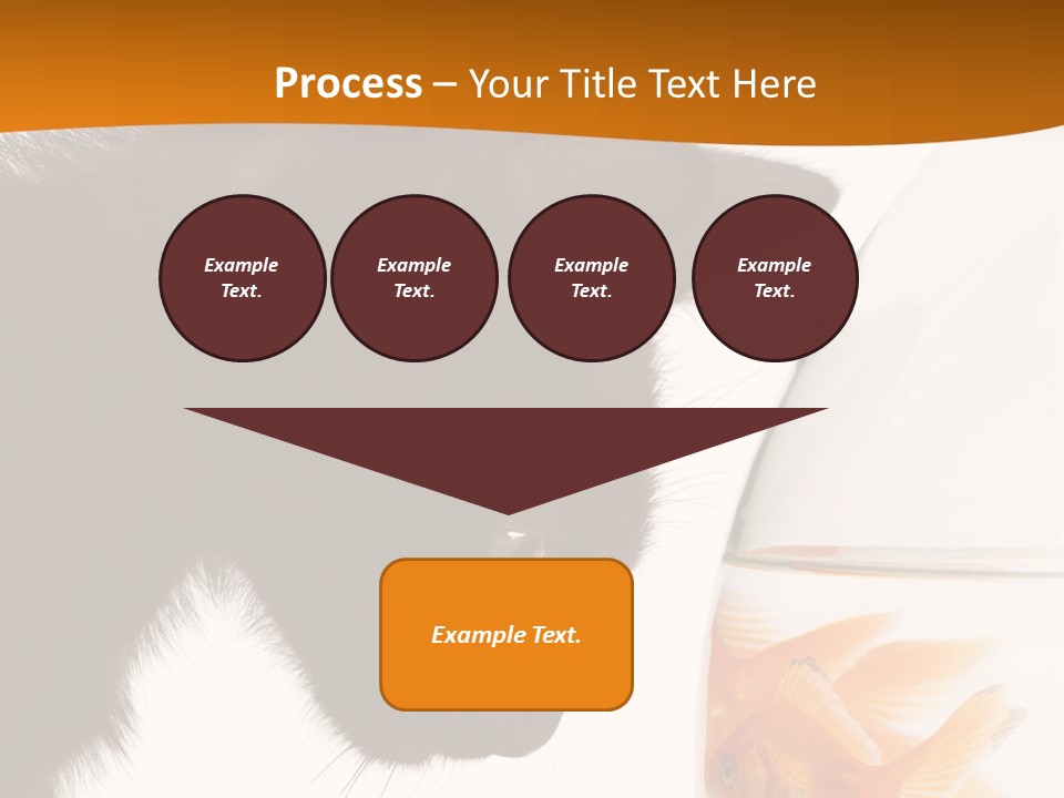 Fish Kitten PowerPoint Template