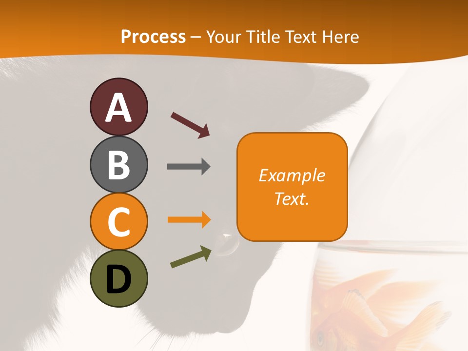 Fish Kitten PowerPoint Template