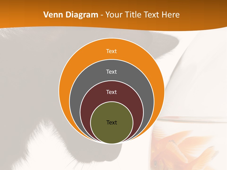 Fish Kitten PowerPoint Template