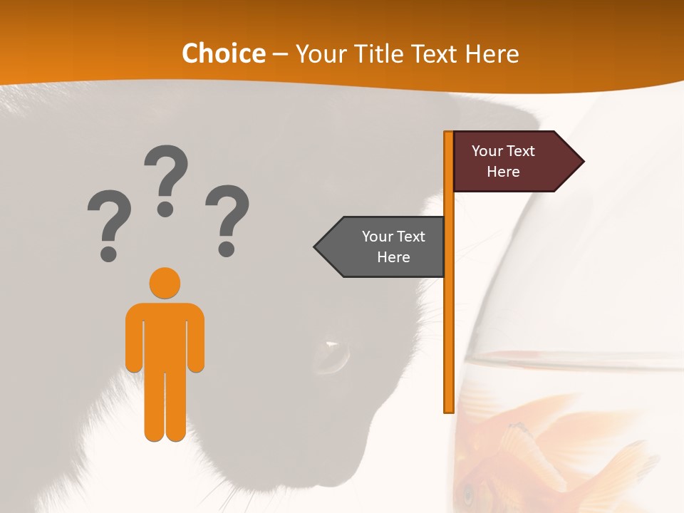 Fish Kitten PowerPoint Template