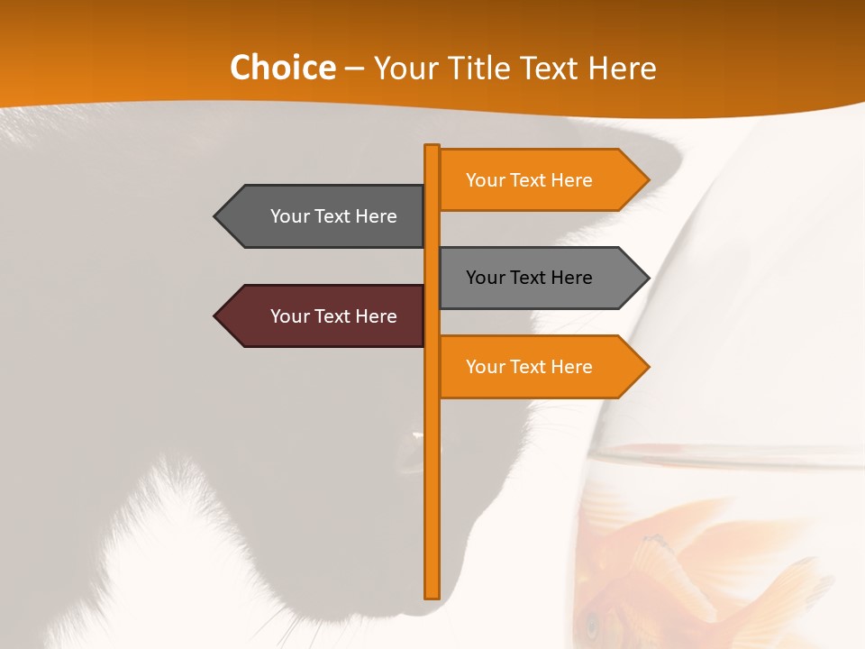 Fish Kitten PowerPoint Template