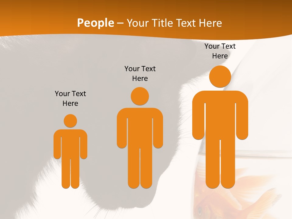 Fish Kitten PowerPoint Template