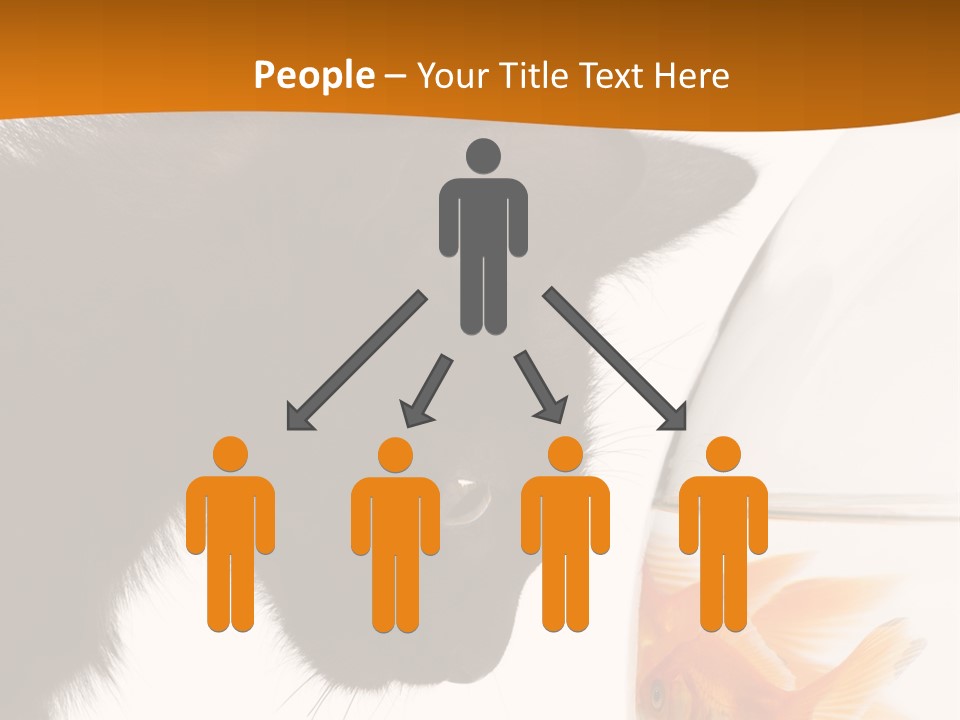 Fish Kitten PowerPoint Template