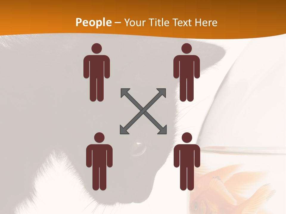 Fish Kitten PowerPoint Template