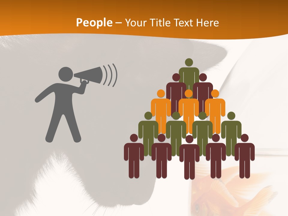 Fish Kitten PowerPoint Template