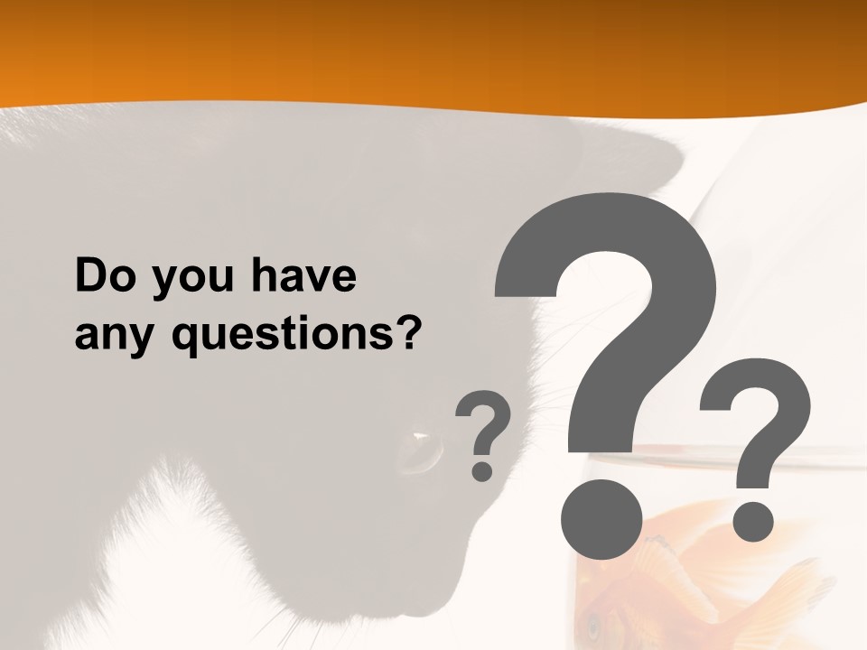 Fish Kitten PowerPoint Template