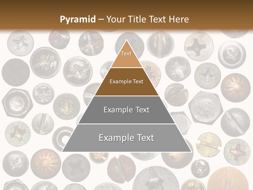 Screw Head PowerPoint Template