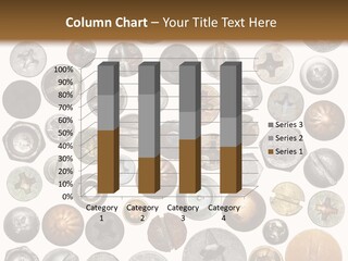 Screw Head PowerPoint Template