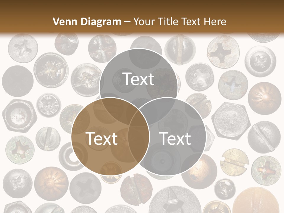 Screw Head PowerPoint Template