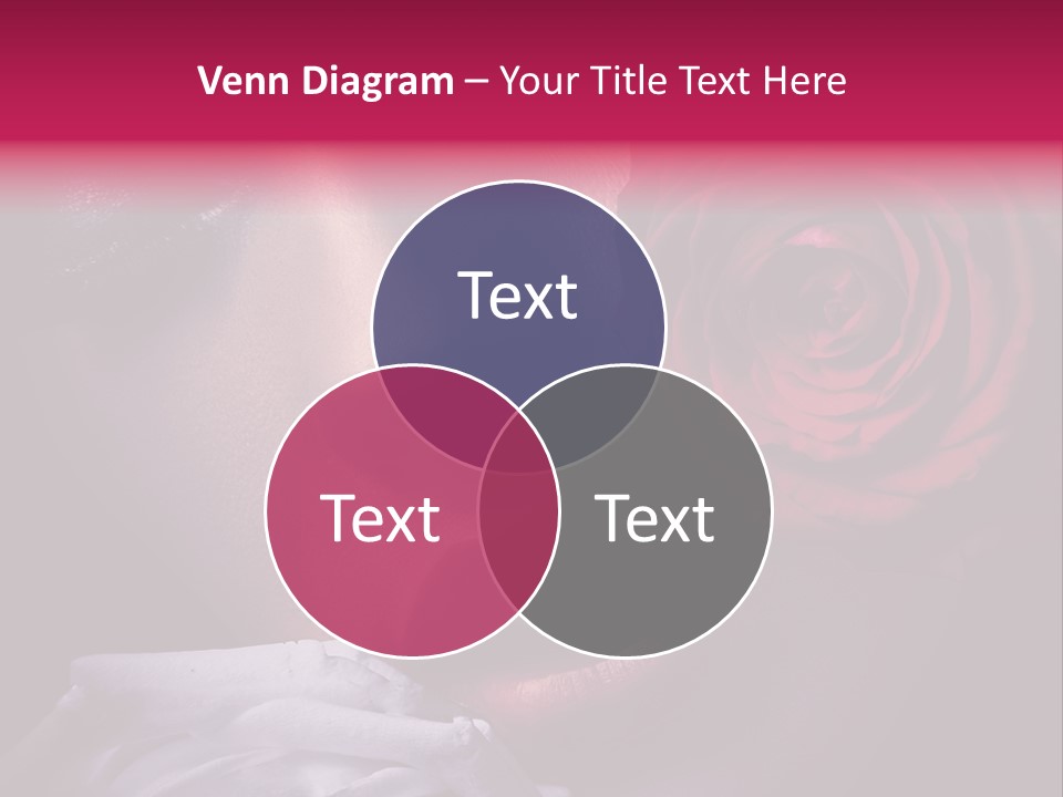 Roses And Woman PowerPoint Template
