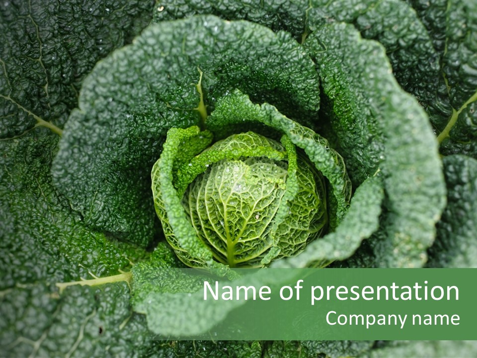 Outdoor Fertilizer Closeup PowerPoint Template