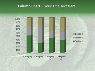 Outdoor Fertilizer Closeup PowerPoint Template