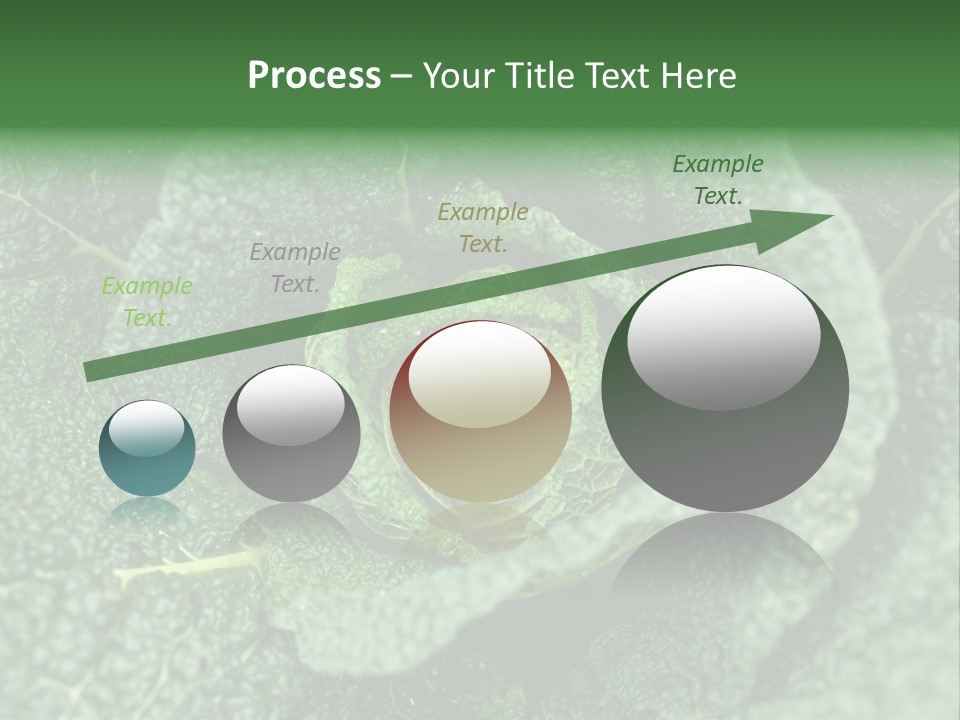 Outdoor Fertilizer Closeup PowerPoint Template