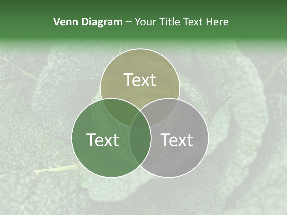 Outdoor Fertilizer Closeup PowerPoint Template