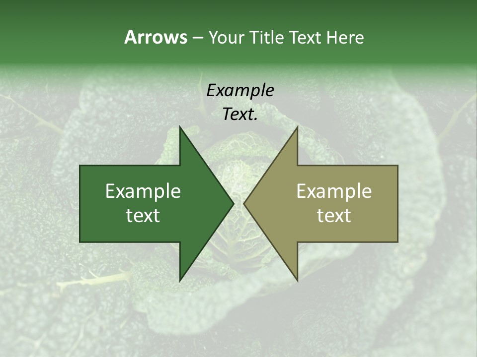 Outdoor Fertilizer Closeup PowerPoint Template