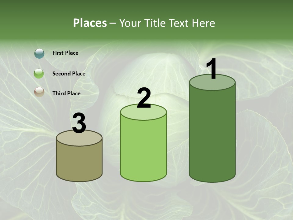 Black And White Cabbage PowerPoint Template