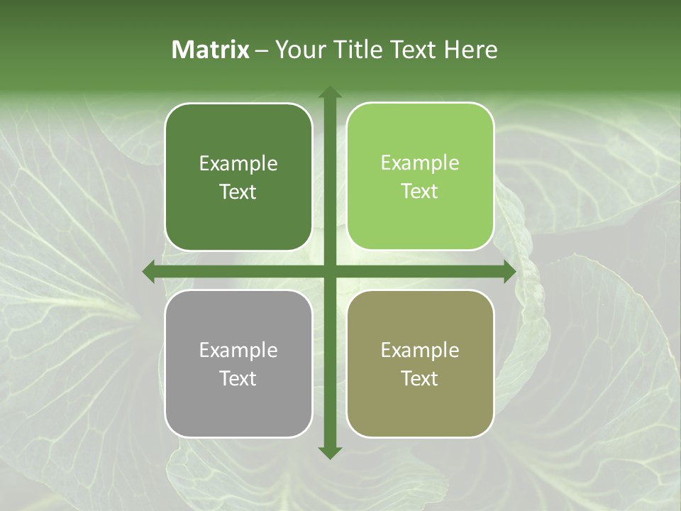 Black And White Cabbage PowerPoint Template