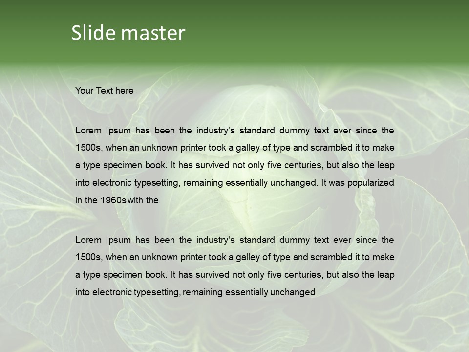 Black And White Cabbage PowerPoint Template