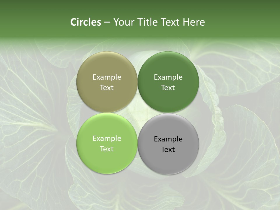 Black And White Cabbage PowerPoint Template