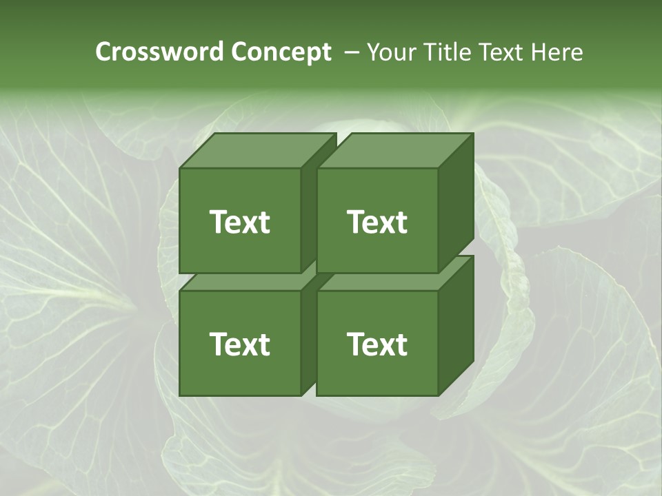 Black And White Cabbage PowerPoint Template