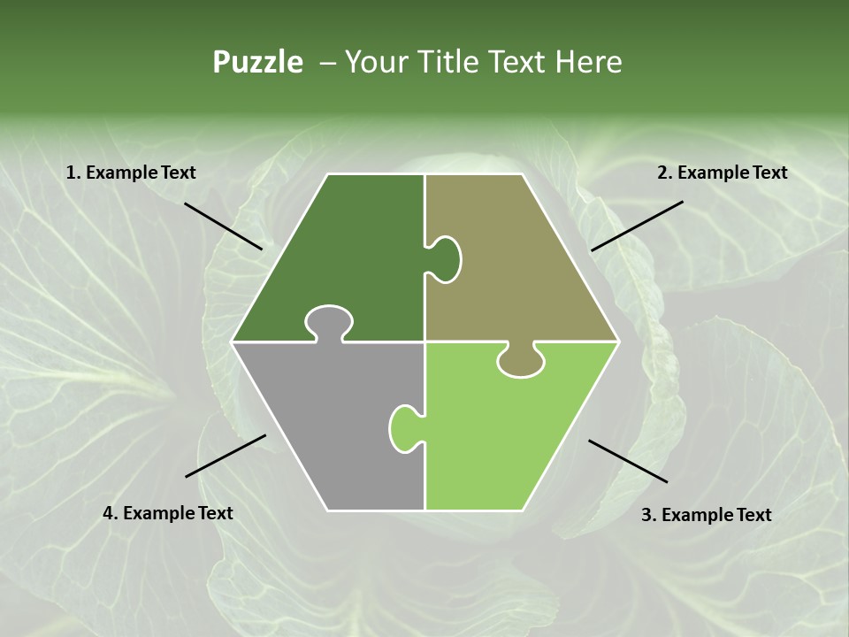 Black And White Cabbage PowerPoint Template