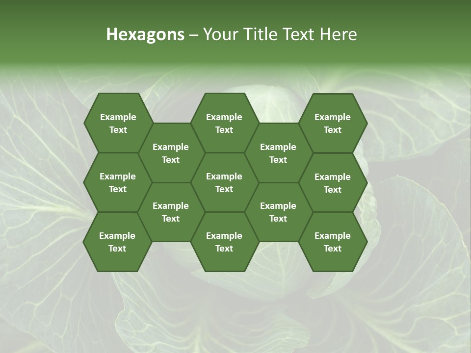 Black And White Cabbage PowerPoint Template