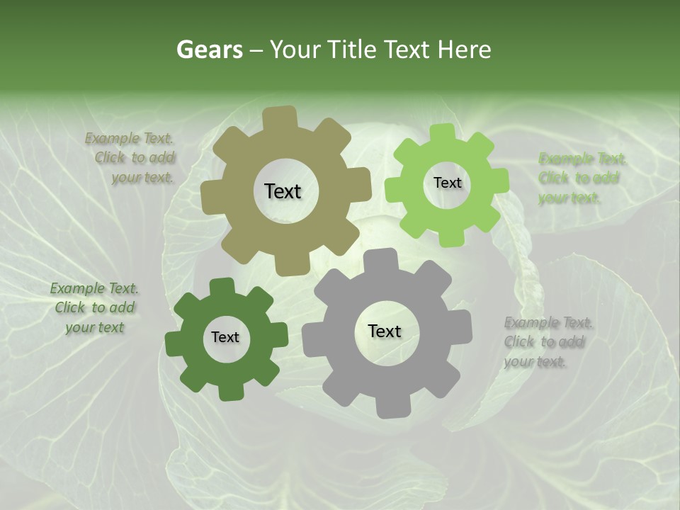 Black And White Cabbage PowerPoint Template