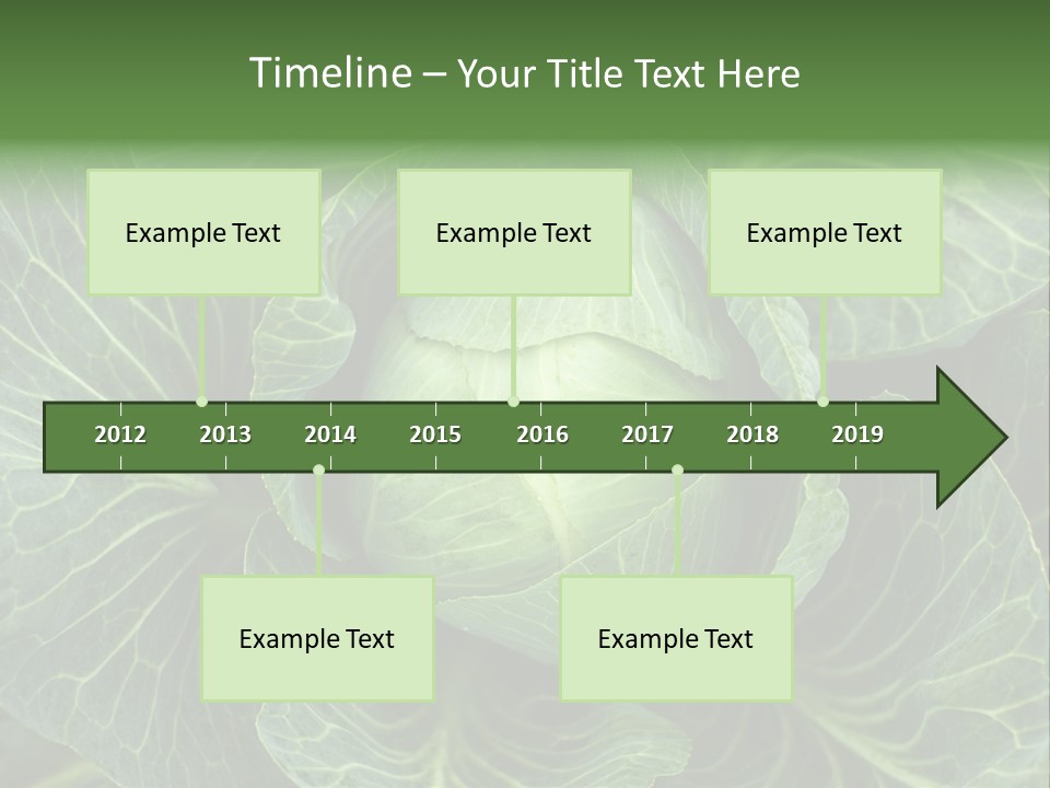 Black And White Cabbage PowerPoint Template