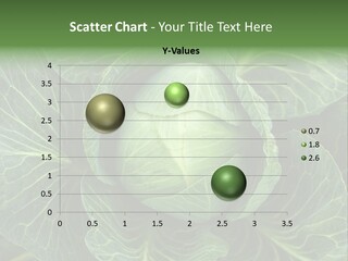 Black And White Cabbage PowerPoint Template
